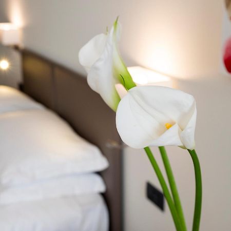 Hotel Plaza San Martino Siccomario Eksteriør billede